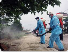 Tuyển dụng nhân viên kỹ thuật kiểm soát côn trùng tại LHP Group