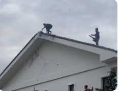 Dịch vụ kiểm soát côn trùng và sinh vật hại của LHP Group
